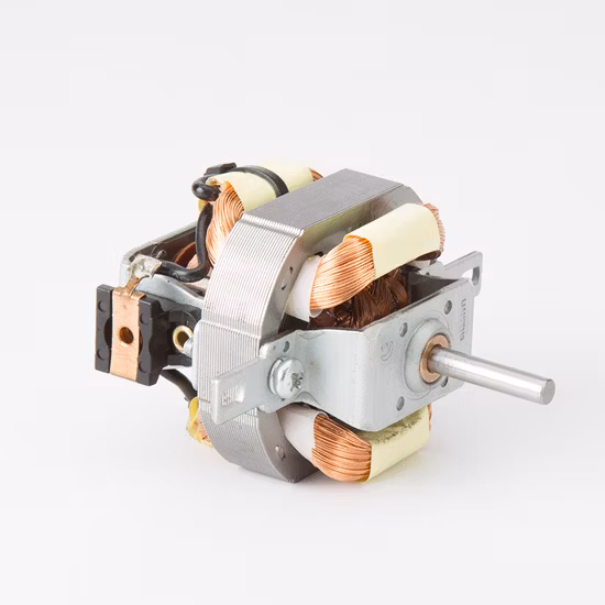 Hot Sales AC Universal Motor for Hair Dryer with Stable Quality and Good Price